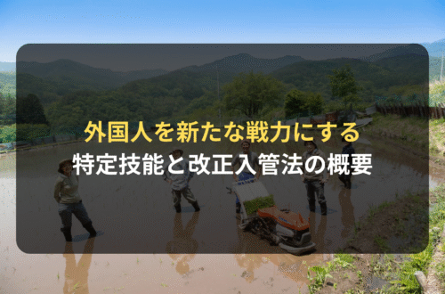 外国人雇用：外国人を新たな戦力にする／特定技能と改正入管法の概要