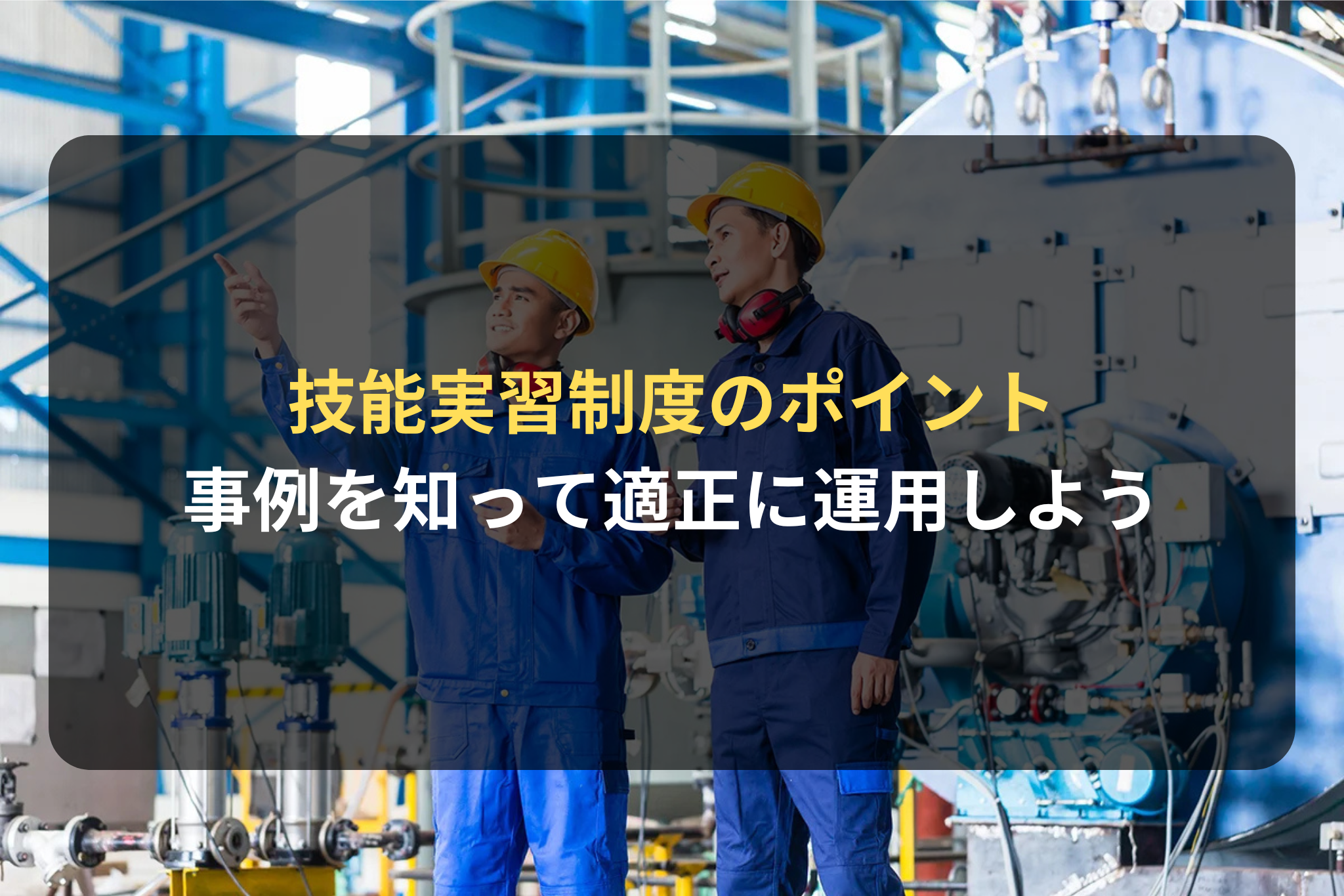 技能実習制度のポイント
事例を知って適正に運用しよう