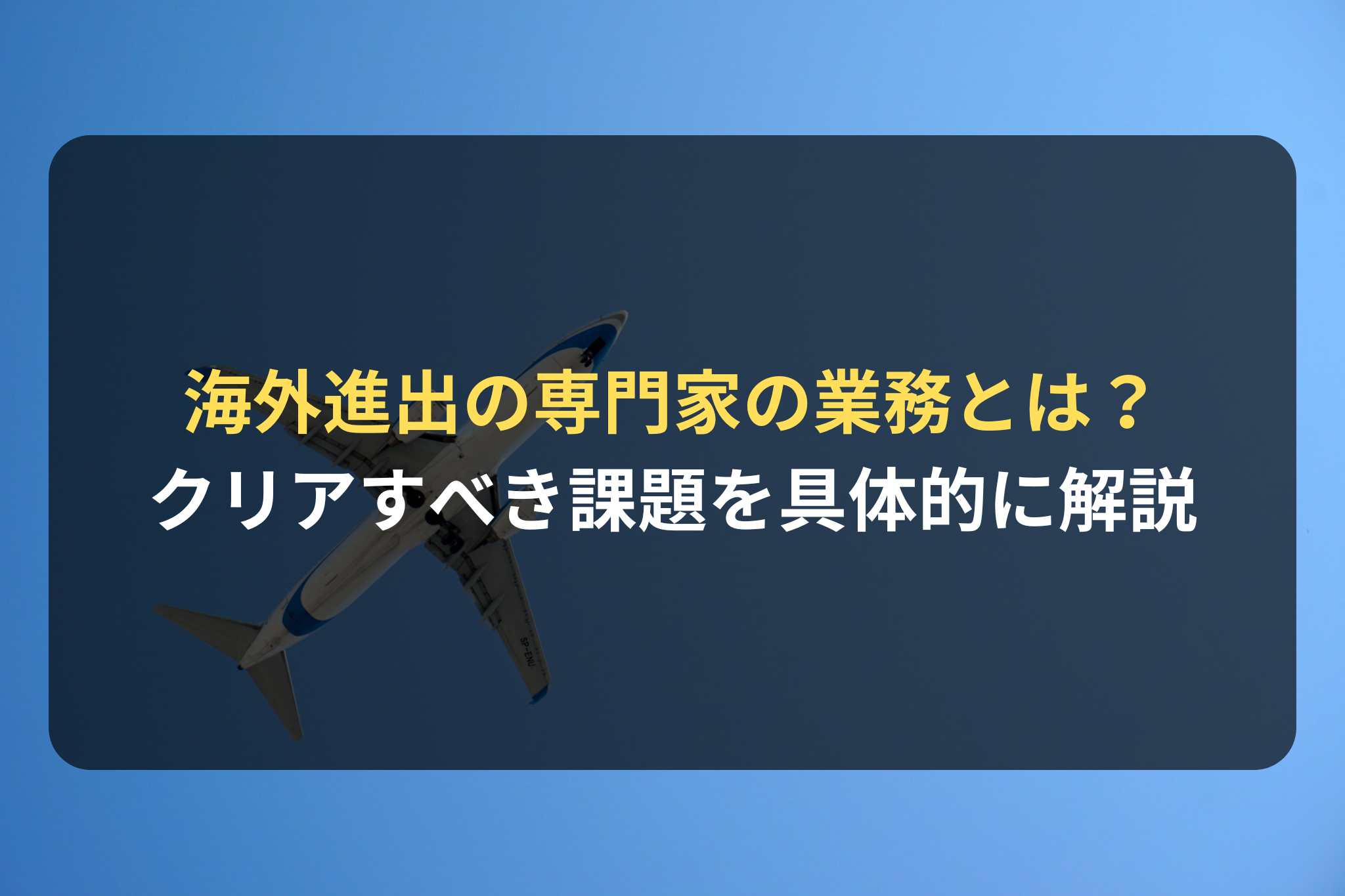 海外進出の専門家としての業務