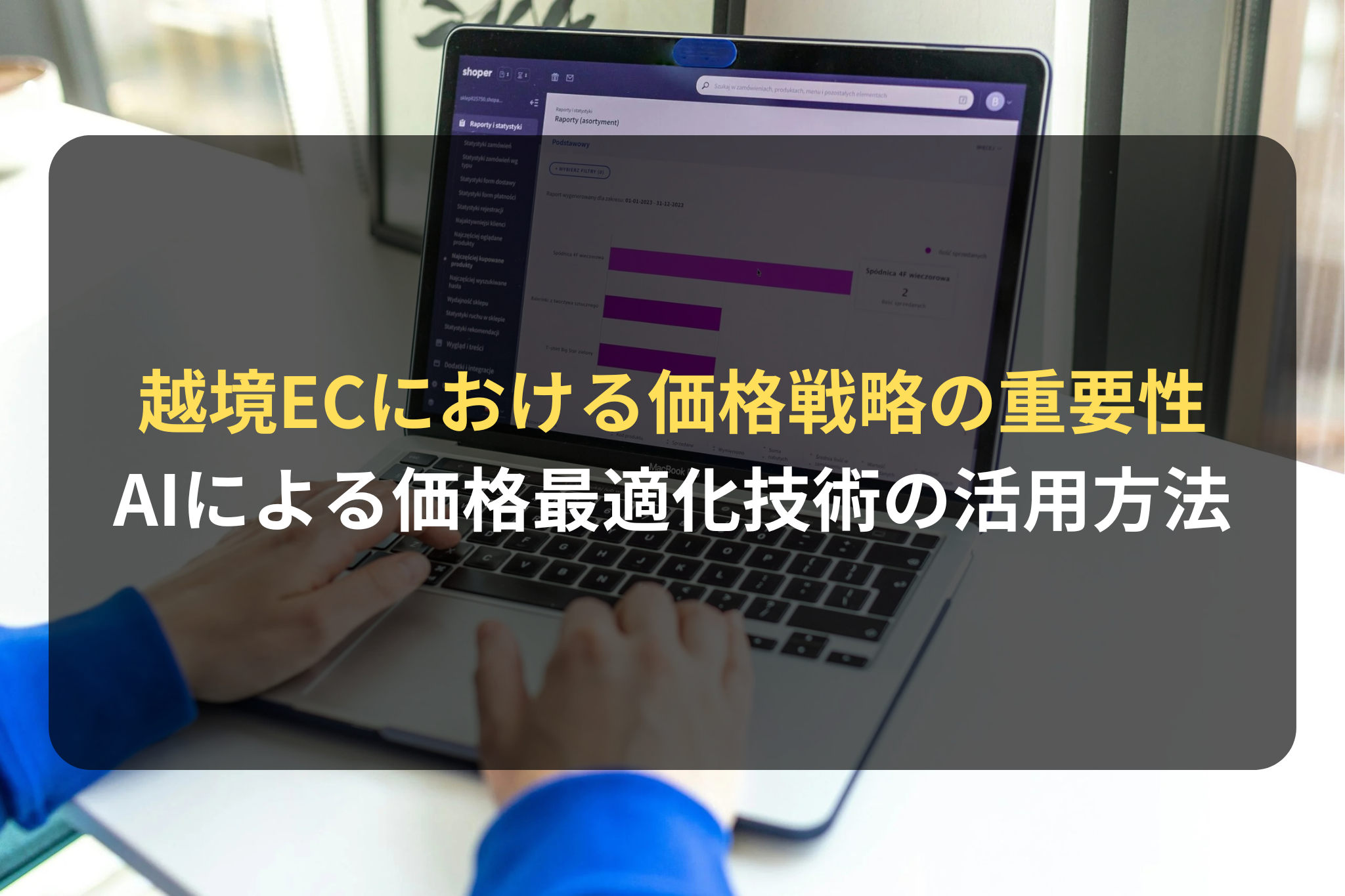 越境ECにおける価格戦略の重要性 AIによる価格最適化技術の活用方法
